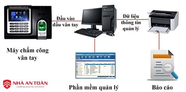 Cấu tạo, nguyên lý hoạt động của máy chấm công vân tay - Nhà An Toàn