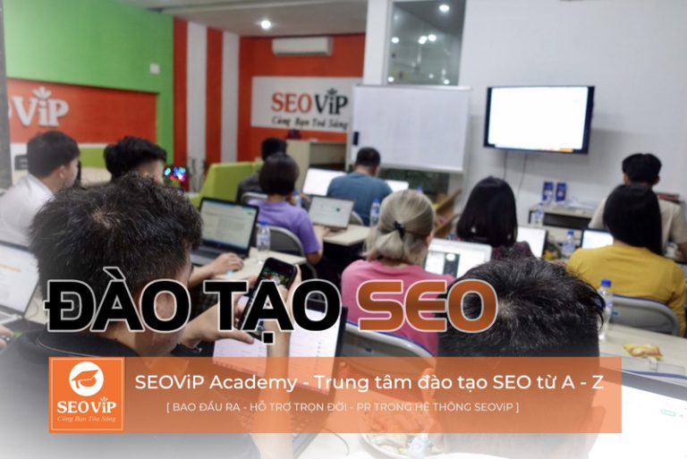 Dịch vụ SEO Website Ngân Hàng, Tín Dụng, Tín Chấp