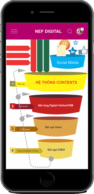 SEO Brand: Dịch Vụ SEO Từ Khóa Thương Hiệu Tốc Độ Cao - Nef Digital