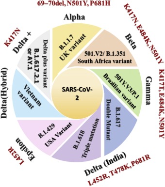 The SARS-CoV-2 mutations versus vaccine effectiveness: New ...