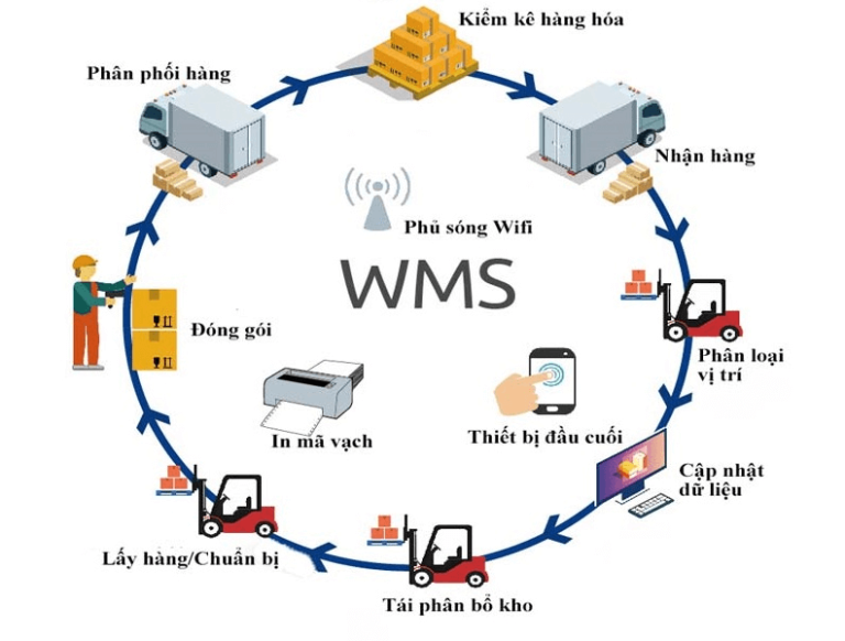 Thông tin về hệ thống quản lý kho hàng WMS tại VietFul