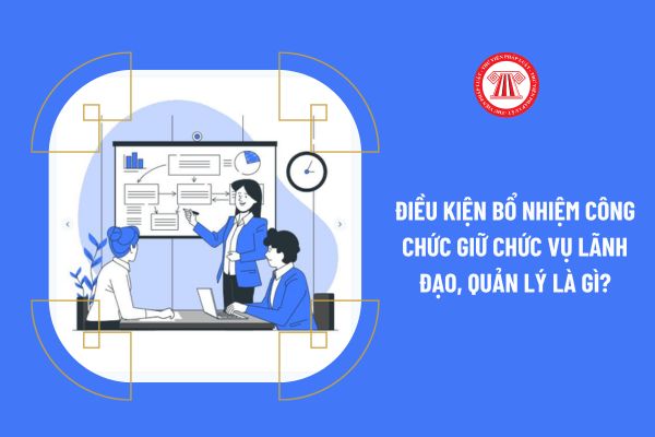 Điều kiện bổ nhiệm công chức giữ chức vụ lãnh đạo, quản lý là gì?