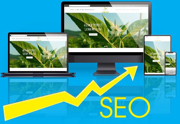 Thiết kế Website CHUẨN SEO uy tín chuyên nghiệp - ADSMO